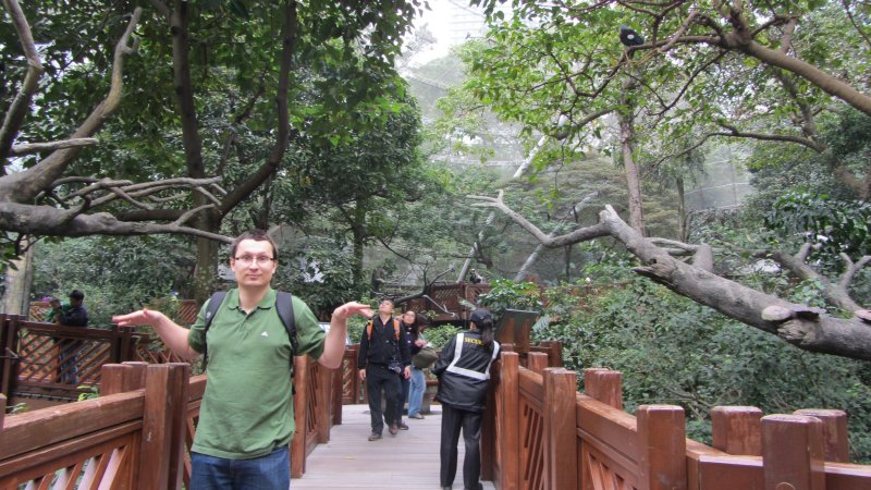 Latam, gadam - pełny serwis