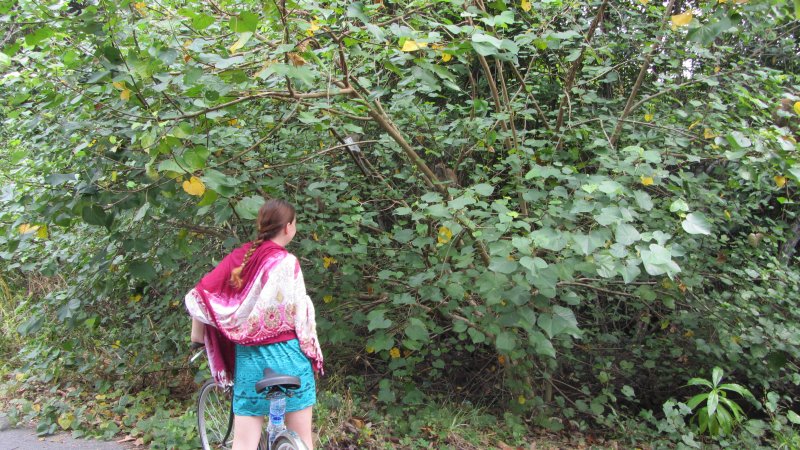 Ile tu jest małpek (ja się nie liczę)